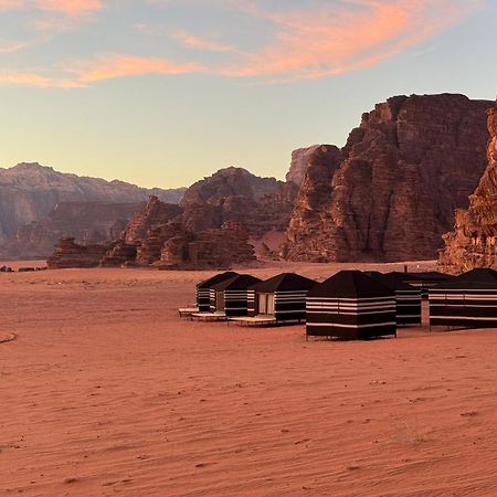 Desert Bird Camp Wadi Rum Exteriör bild