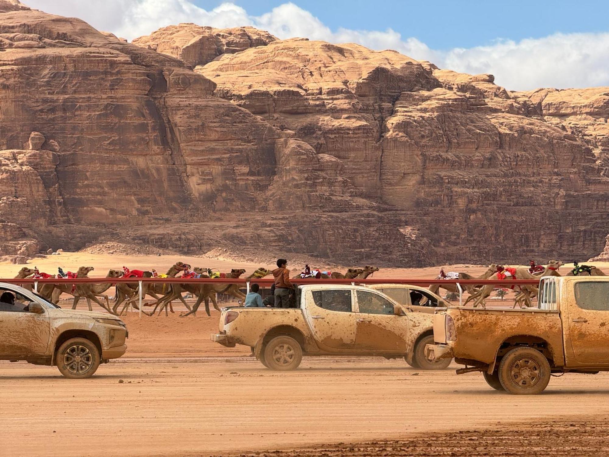 Desert Bird Camp Wadi Rum Exteriör bild
