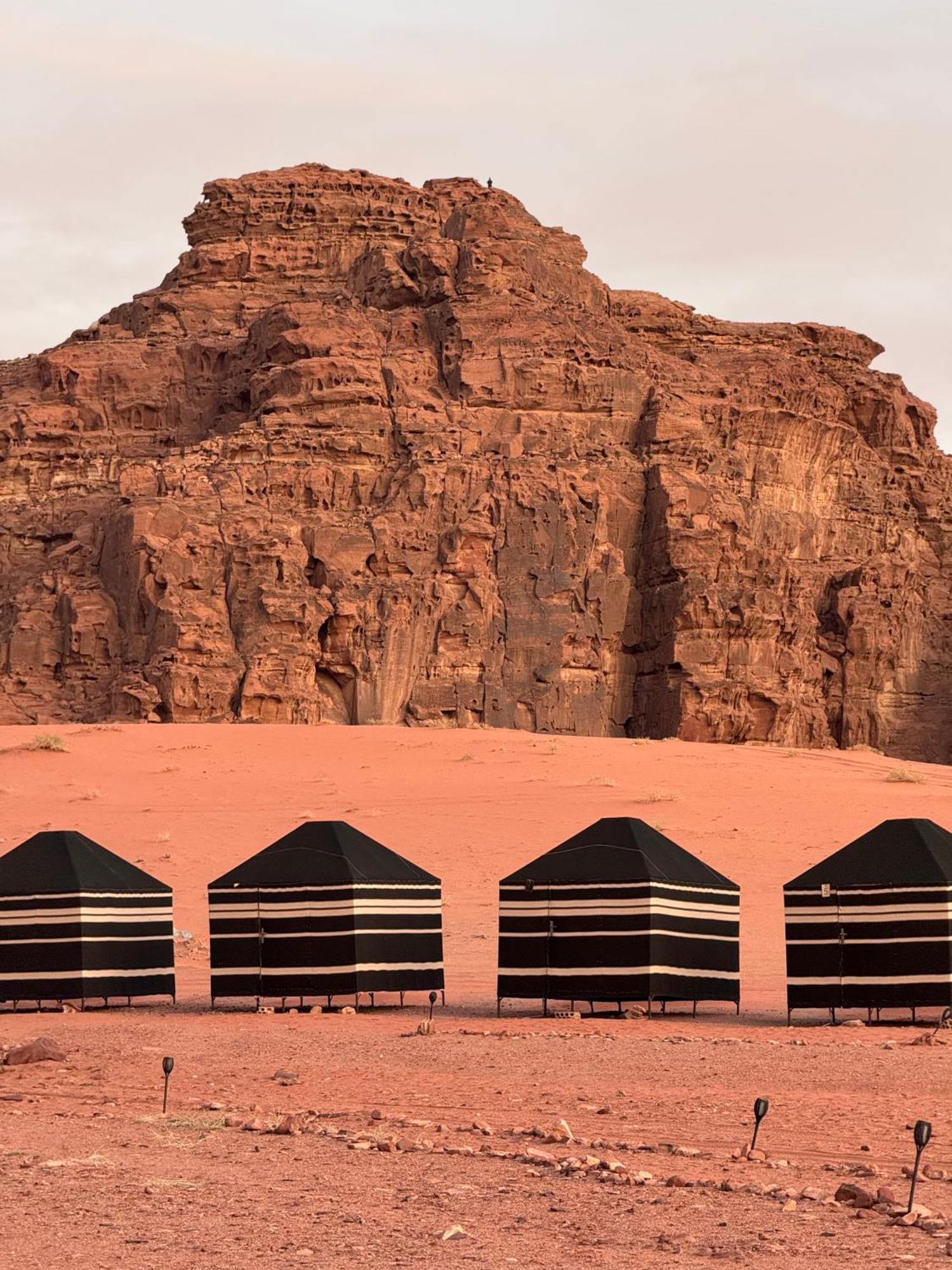 Desert Bird Camp Wadi Rum Exteriör bild