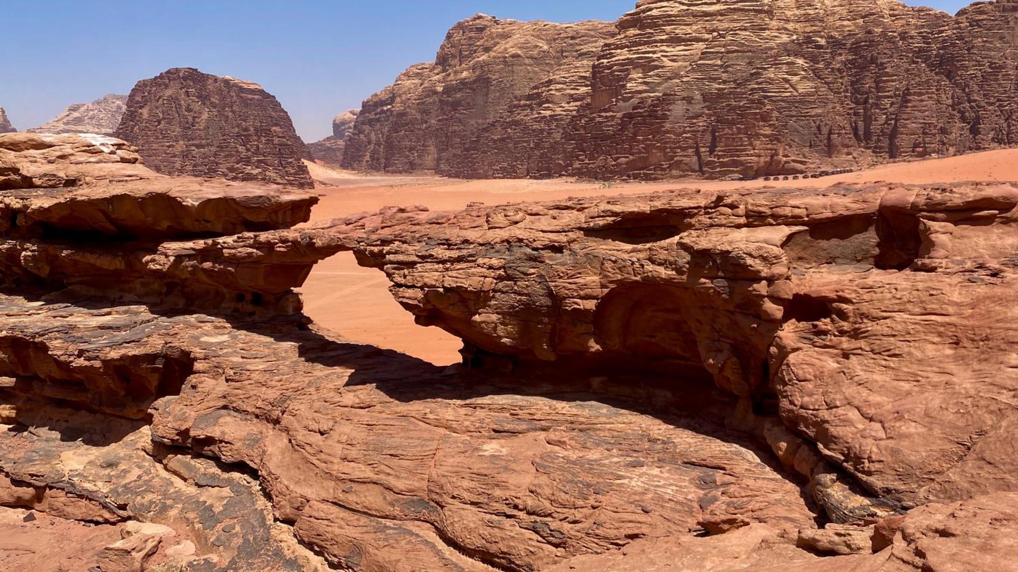 Desert Bird Camp Wadi Rum Exteriör bild