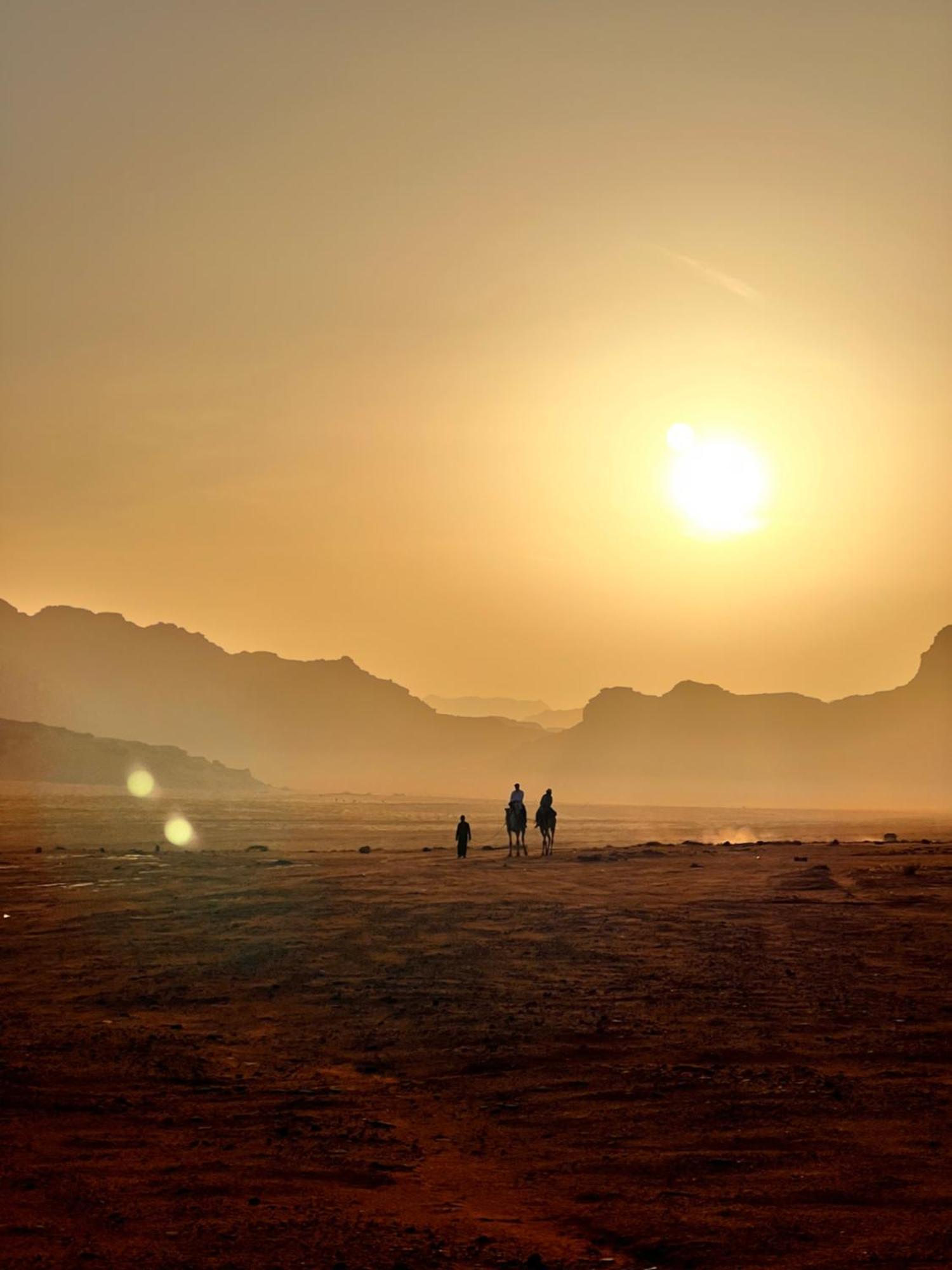 Desert Bird Camp Wadi Rum Exteriör bild