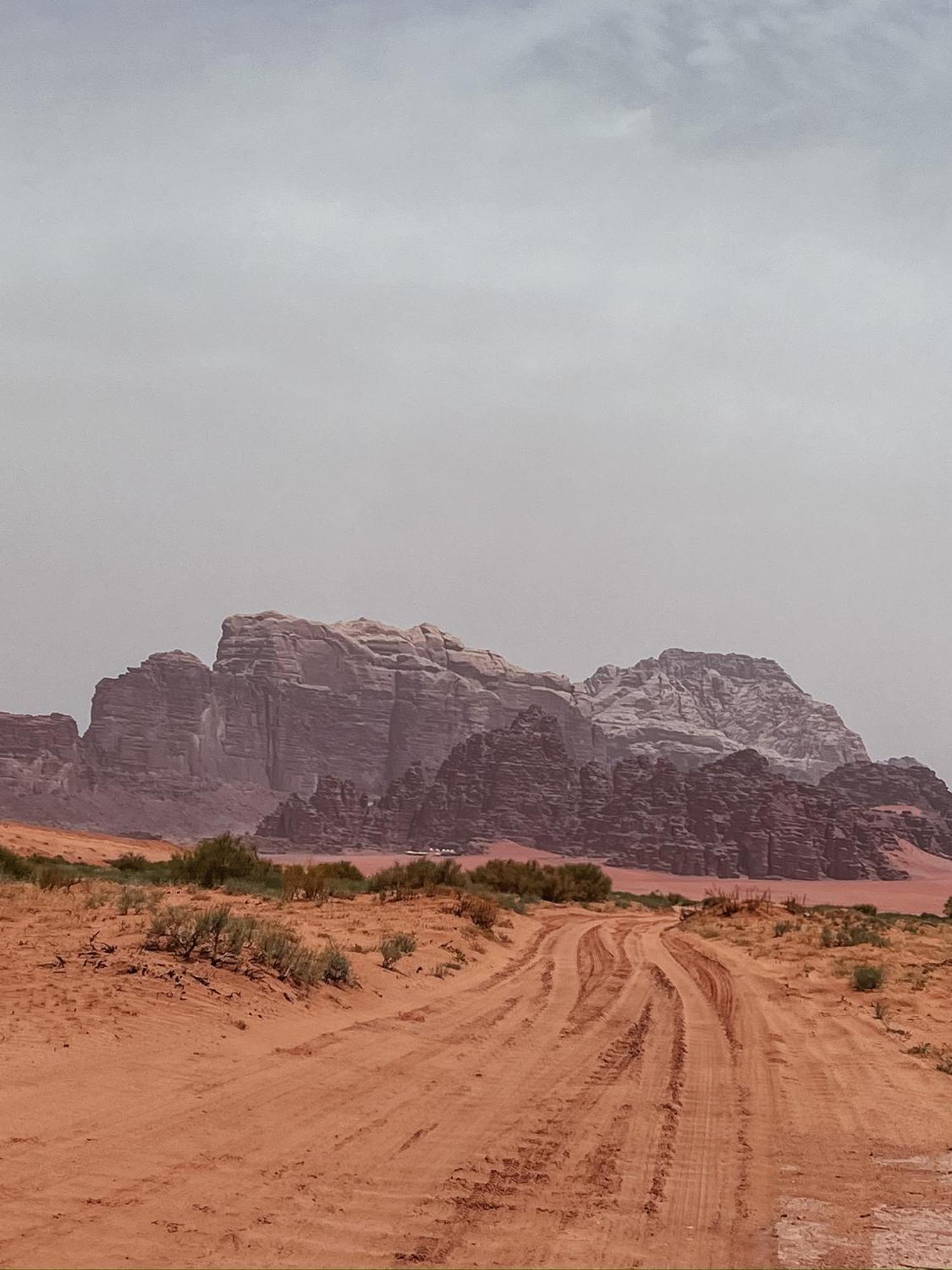 Desert Bird Camp Wadi Rum Exteriör bild