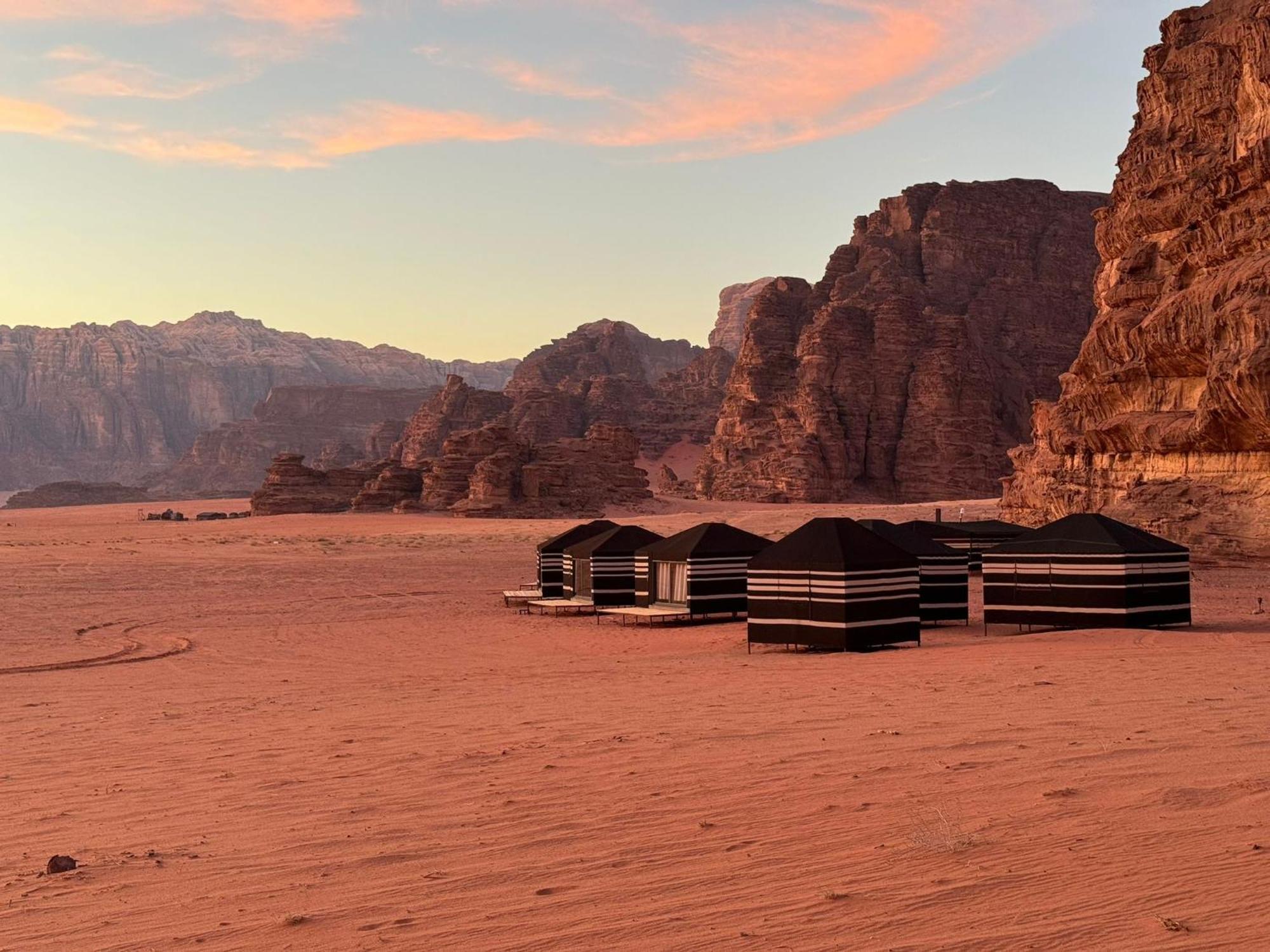 Desert Bird Camp Wadi Rum Exteriör bild
