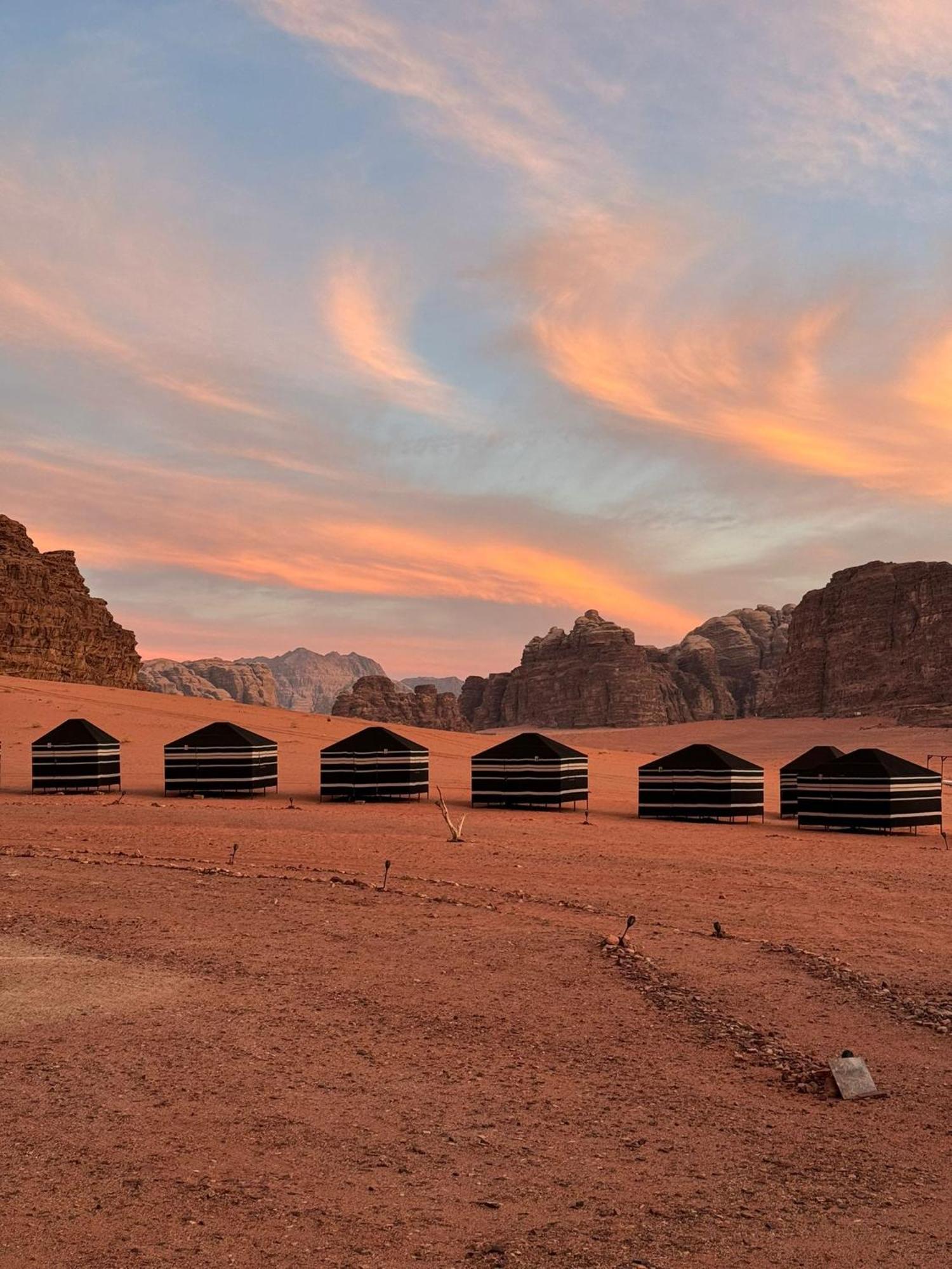 Desert Bird Camp Wadi Rum Exteriör bild