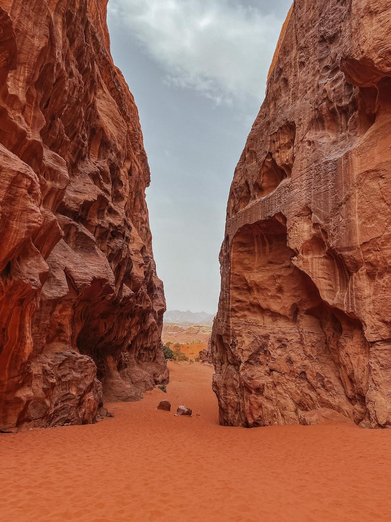 Desert Bird Camp Wadi Rum Exteriör bild