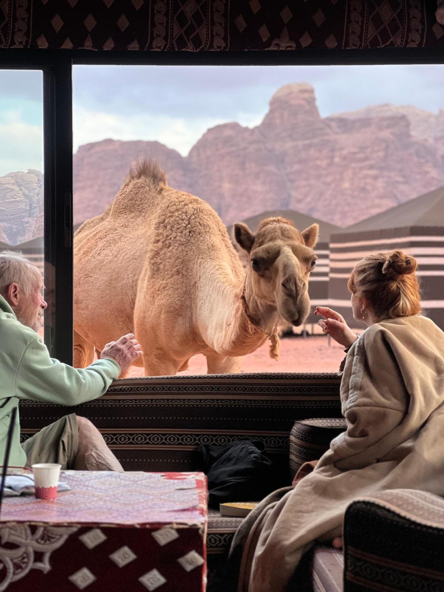 Desert Bird Camp Wadi Rum Exteriör bild